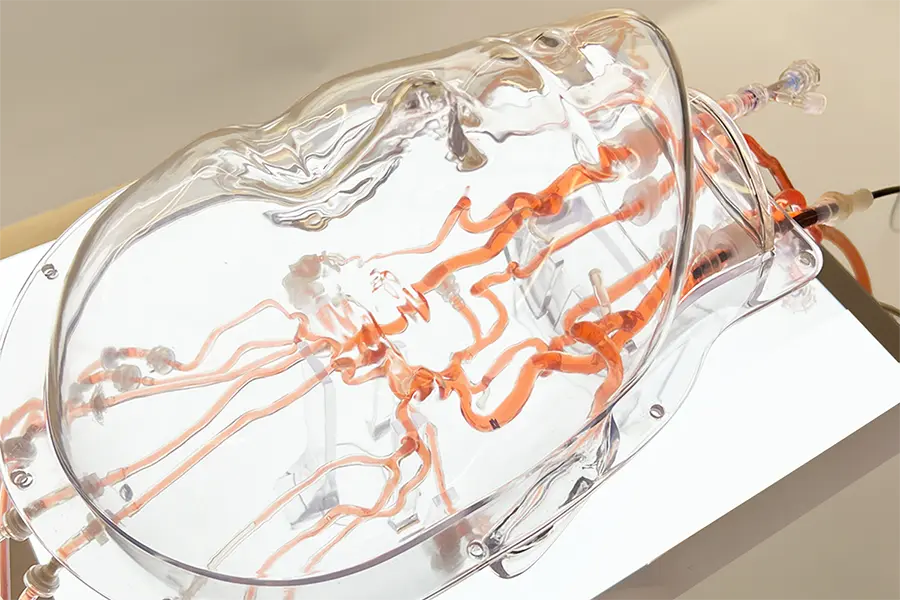 Magnetic milli-spinner navigates in blood vessel model