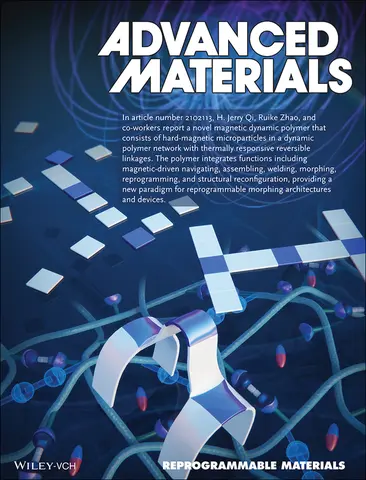 Cover art showing the magnetic dynamic polymer
